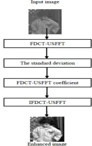 Fig 4:  Proposed Chart of FDCT-USFFT 