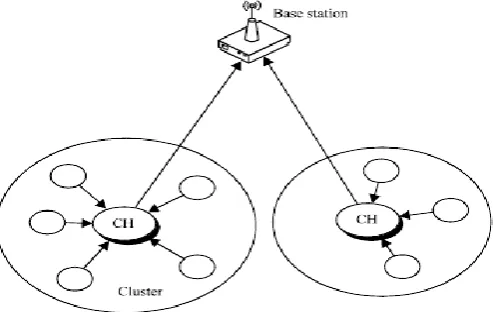 Fig 3: Flooding Paths 