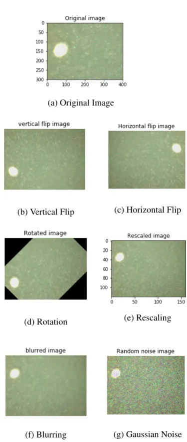 Fig. 3: Data augmentation techniques on original image data