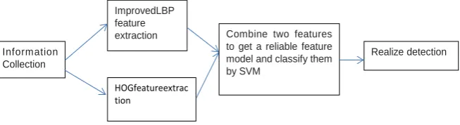 Figure 1. Pedestrian inspection system. 
