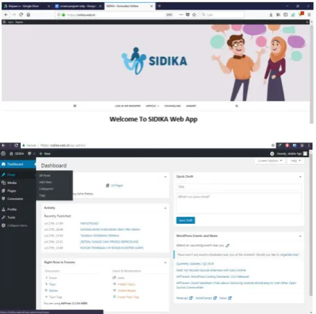 Fig. 6. Display of the SIDIKA web page. 