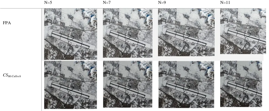 Fig 5: the result of segmentation using Kapur entropy method for shanghai, China image using FPA and CS 