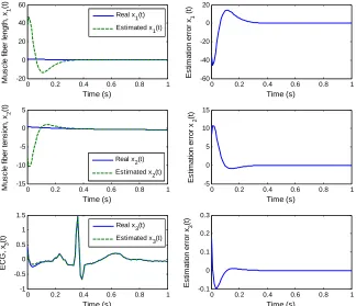 Figure 9. Observer simulation results and estimation error for the 3rd-order heartbeat system