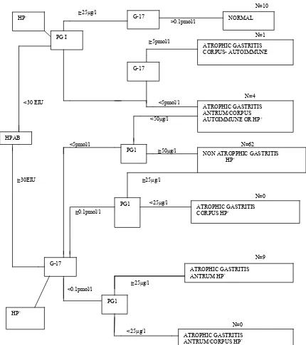 Figure 1. Algorithm (decision tree) for classification of patients into different categories of atrophic gastritis by the Helicobacter pylori antibody titre (HpAb), and serum levels of PG1 andG-17fast