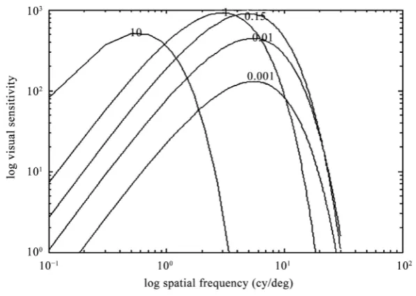 Figure 2. Directional high-pass filters for texture detection.  