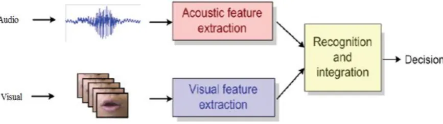 Fig 1: The general Organization of AVSR. 