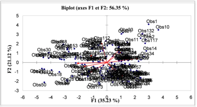 Figure 6. Constraints grouped into classes by Hierarchical Ascending Classification, Bur-kina Faso, 2009
