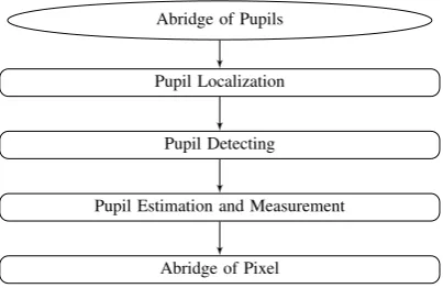 Fig. 1: A Block Diagram for Current Challenges of Pupils