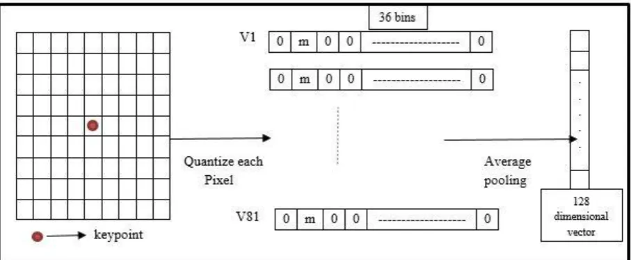 Fig. 1. SIFT a square grid pooling using 8 bins histogram 