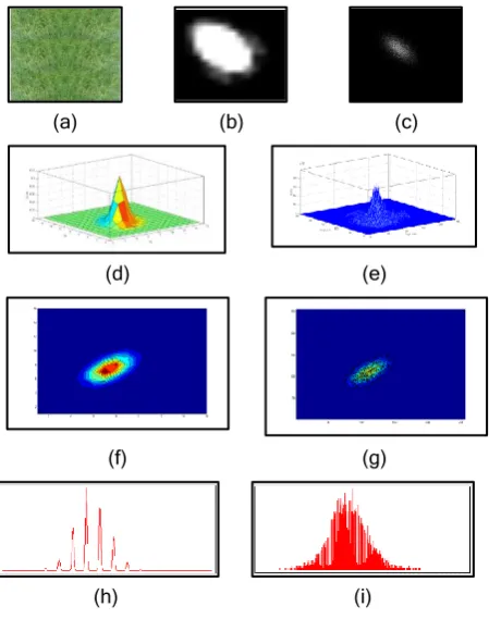 Fig 1: The effect of irregularity on the GLCM, (a) original image, (b) 2D GLCM 16 grey levels, (c) 1D GLCM 16 grey 