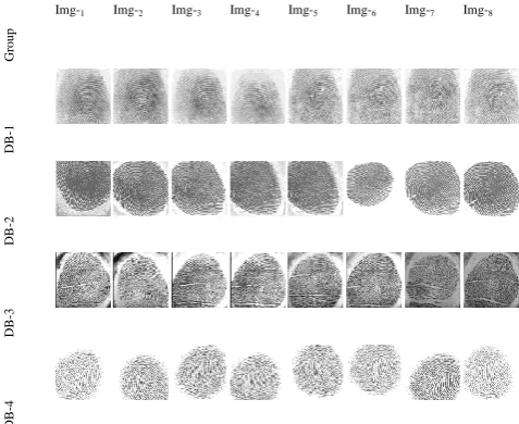 Fig 1: Samples of FVC2000 database. 