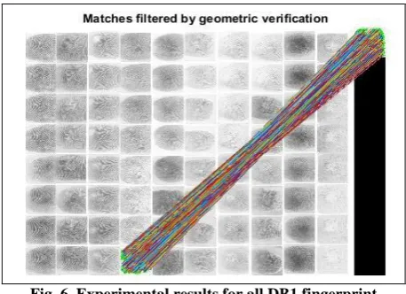 Fig. 6. Experimental results for all DB1 fingerprint images. 