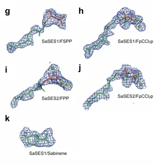 Figure S4 (continued).    Omit maps of bound ligands in SaSES1 and SaSES2 complex structures 