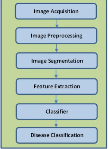 Figure 1. Steps to detect and classify disease from  agriculture product. 