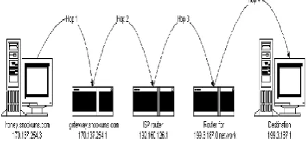 Figure 1 Hopping around 