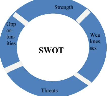Figure 3. SWOT Analysis.