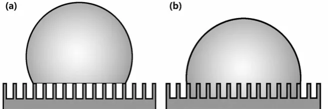 Figure 1. (a) Cassie-state; (b) Wenzel-state. 