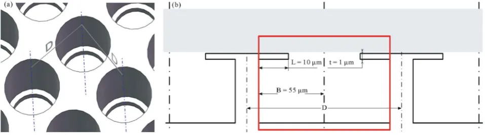 Figure 2. (a) Top view of the surface of the array; (b) Partial enlarged drawing of the back of the array; (c) Sectional drawing of the structure
