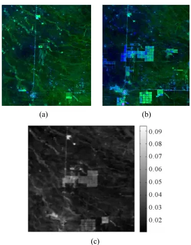 Figure 8. Image time series analysis using wavelets. (a) LANDSAT image of 2001-02-10 (Bands 3-4-5 as RGB); (b) LANDSAT image of 2009-02-16 (Bands 3-4-5 as RGB); (c) Energy of most rapid changes (r1) wavelet decomposition in pseudocolor