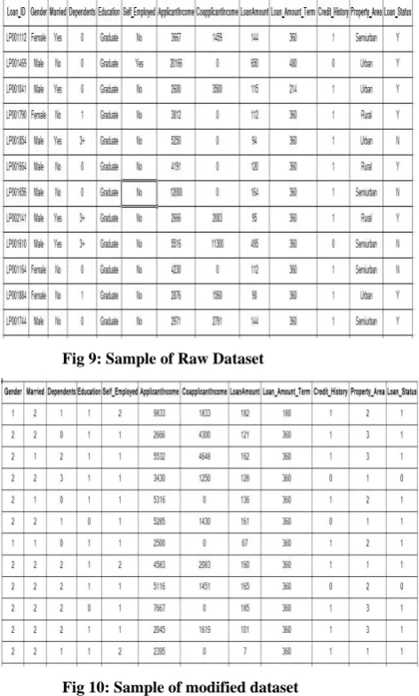 Fig 9: Sample of Raw Dataset 
