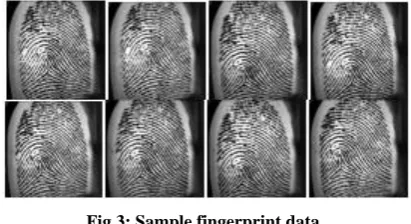 Fig 3: Sample fingerprint data. 