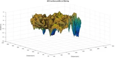 Figure 9: Filtered Surface Plot 2013 