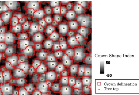 Figure 3. Example of crown length calculation; points in the left figure show the DCHM and match points corresponding to the crown shape in the right cross-section