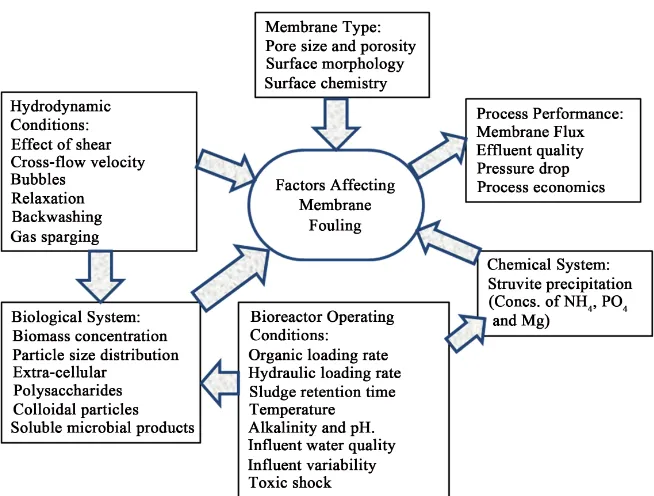 Figure 5. Parameters and interactions that influence process performance in an anaerobic membrane bioreactor [60]