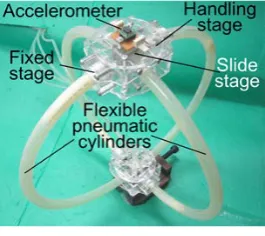 Figure 2. Appearance of flexible 