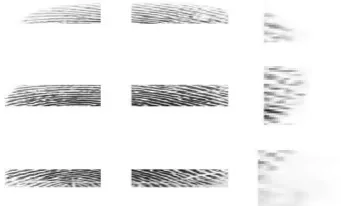 Fig 6: Ridge oriented of an image Figure 