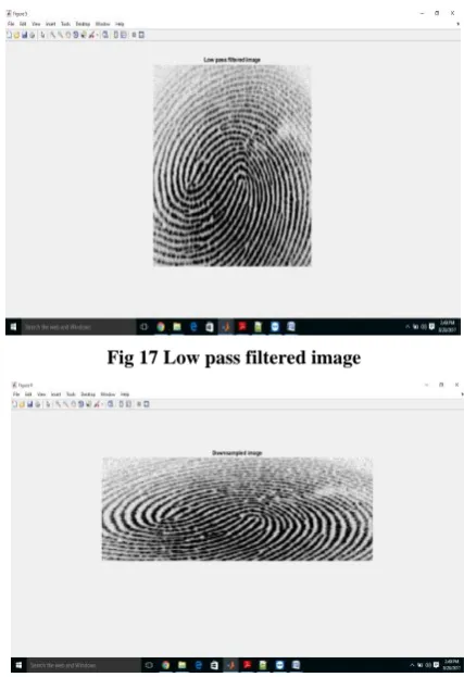 Fig 18: down sampled image 