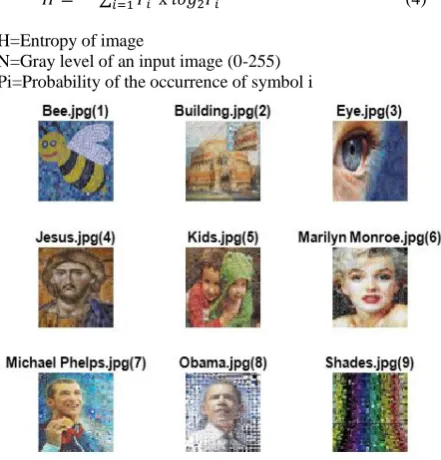 Fig. 9. Mosaic Input Image 
