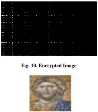 Fig. 10. Encrypted Image 