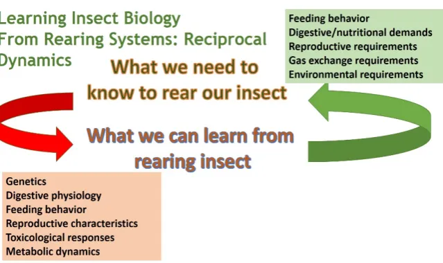 Figure 1. A model of the reciprocal nature of rearing system development in relationship with what can be learned from having a controlled process that can be applied to studies of the various factors that influence a target insect’s biology