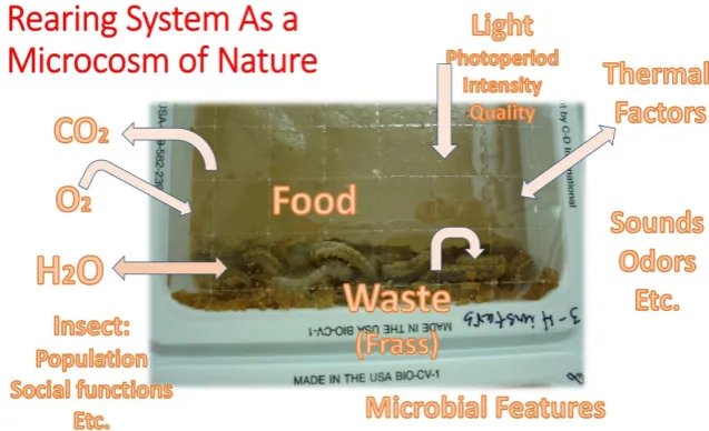 Figure 2. Diagram of the concept of the rearing system as a microcosm of nature. The insects in this photo, western bean cutworms {Striacosta albicosta (Smith): Noctuidae: Lepidoptera} are being reared on an artificial diet with defined environmental condi