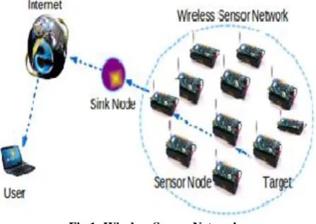 Fig 1: Wireless Sensor Network 