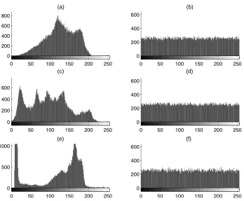 Figure 3. Images before and after Encryption.