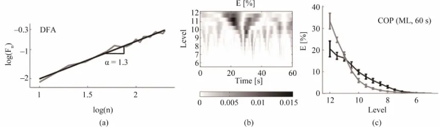 Figure 3. (a) DFA analysis and Hurst exponent; (b) Scalogram of a 12-level Wavelet transform of AP (60 s); (c) Sam-ple mean of energy percentage of the Wavelet transform (with allowance of [24])