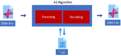 Figure (1): General A2 block diagram 