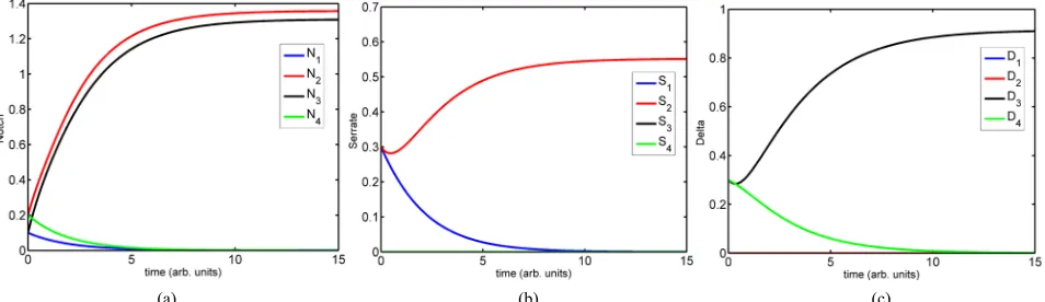 Figure 4. Four compartment ODE model set up with Notch signaling in each compartment. Dnc and Snc indicate the averaged concentrations from neighboring cells as in the ODE simulations