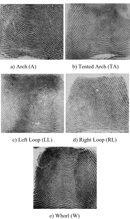 Figure 2.0: Fingerprint Classes a)Arch(A), b)Tented Arch(TA),  c)Left Loop(LL),  d)Right Loop(RL), e) Whorl 