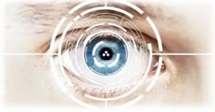 Fig 1: Eye Tracking Simulation 