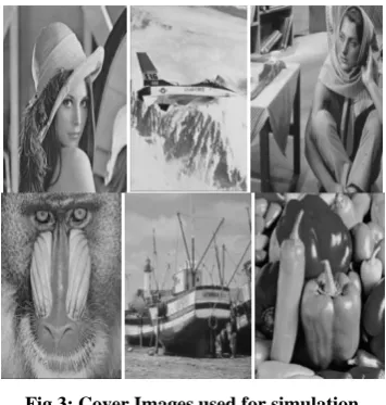 Fig 2: a) Lena b) encrypted form c) decrypted image 