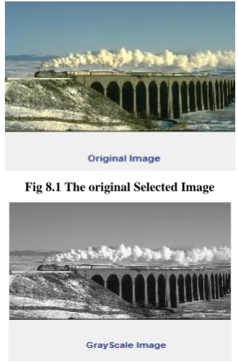 Fig 8.1 The original Selected Image 