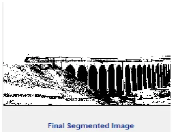 Fig 8.5 The final segmented image on the basis of the best threshold value calculated in the previous stage