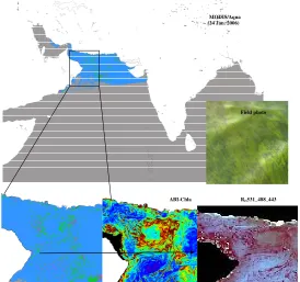 Figure 7. Algal bloom map of the Gulf of Oman generated from MODIS-Aqua data (24 Jan. 2006) using the new algorithm (for detecting N