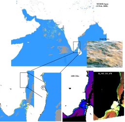Figure 10. Algal bloom map of the eastern Arabian Sea generated from MODIS-Aqua data (17 April 2009) using the new algorithm (for detecting Trichodesmium A bloom)