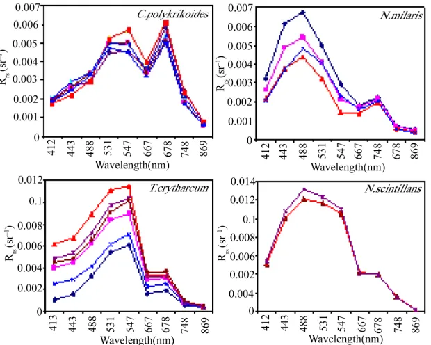 Figure 2. Remote sensing reflectance spectra obtained from. 