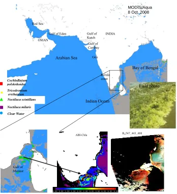 Figure 5. Algal bloom map of the Gulf of Mannar generated from MODIS-Aqua data (8 Oct
