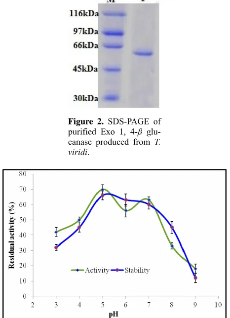 Figure 5. Lineweaver-Burk reciprocal plot: Km and Vmax for Exo 1, 4-β glucanase.  